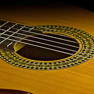 ویژگی و مشخصات گیتار آدمیرا a5